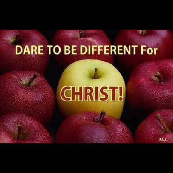 💕💕💕 - Picture 2 of 8